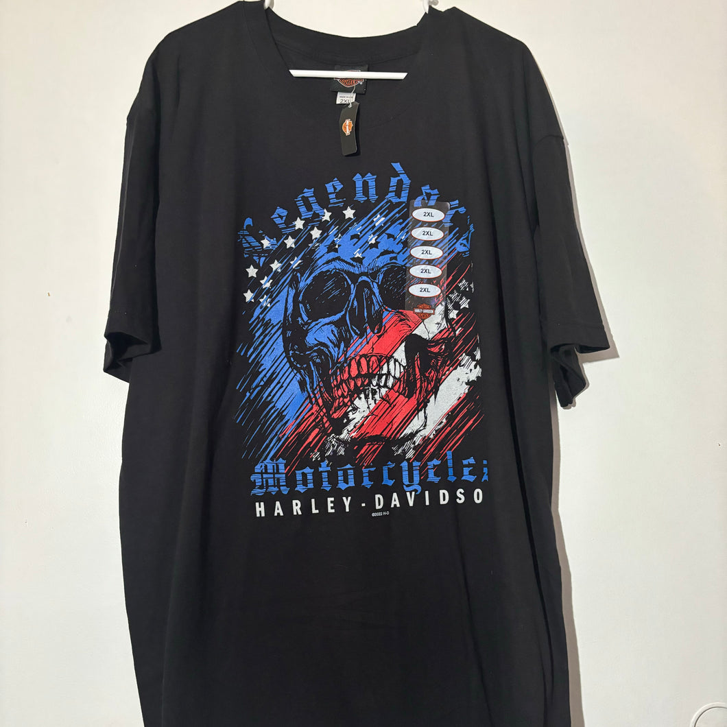 Harley Davidson Graphic Motorcycle Tee